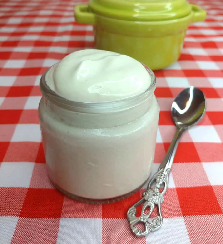 Vegan Sour Cream Recipe with Cashews and Tofu