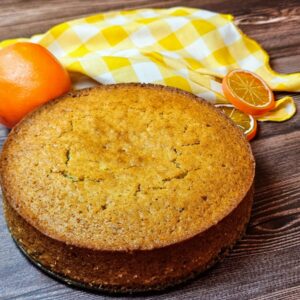 Vegan Orange Chocolate Chips Cake Recipe